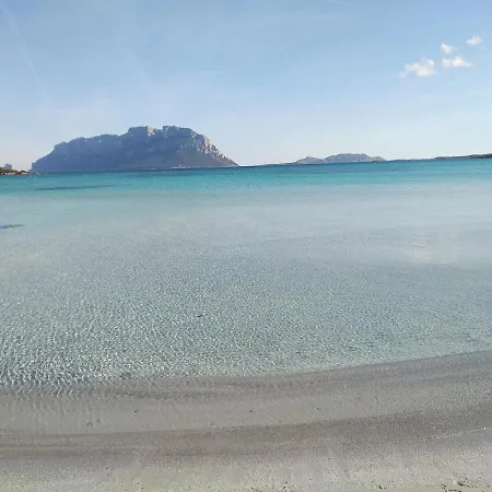 Aria Di Vacanza - Azalee Apartman